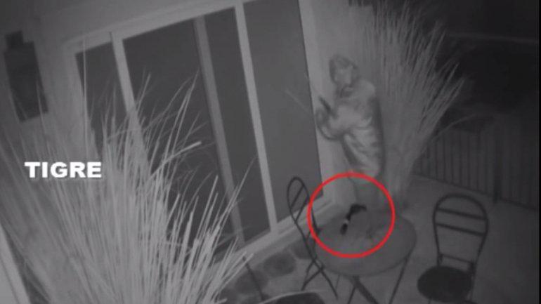 ¿Por qué Cristina y el kirchnerismo se abrazaron Milani?