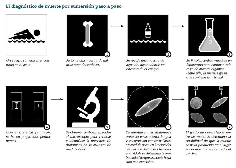 Maldonado, Otranto, Patricia Bullrich, Héctor Magnetto, Vidal, Gendarmería, Desaparición, Macri