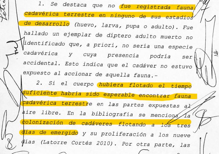 Echazú, Maldonado, Otranto, Patricia Bullrich, Héctor Magnetto, Vidal, Gendarmería, Desaparición, Macri, RAM, autopsia, RCP, Reanimación cardiopulmonar 