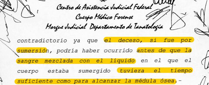 Echazú, Maldonado, Otranto, Patricia Bullrich, Héctor Magnetto, Vidal, Gendarmería, Desaparición, Macri, RAM, autopsia, RCP, Reanimación cardiopulmonar 