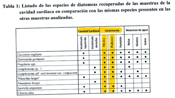 Echazú, Maldonado, Otranto, Patricia Bullrich, Héctor Magnetto, Vidal, Gendarmería, Desaparición, Macri, RAM, autopsia, RCP, Reanimación cardiopulmonar 