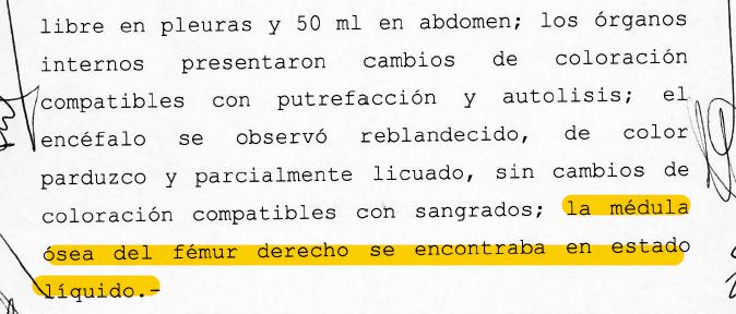 Echazú, Maldonado, Otranto, Patricia Bullrich, Héctor Magnetto, Vidal, Gendarmería, Desaparición, Macri, RAM, autopsia, RCP, Reanimación cardiopulmonar 