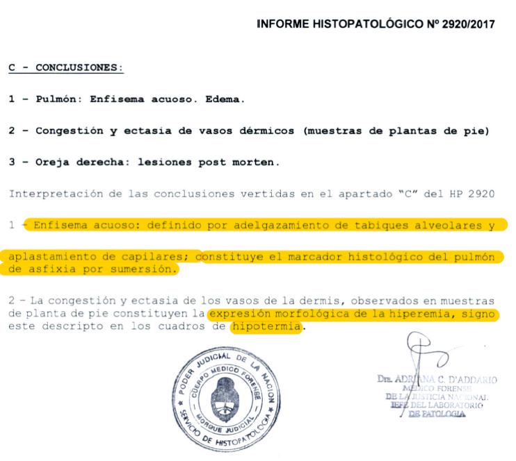 Santiago Maldonado, Echazú, Otranto, Patricia Bullrich, Héctor Magnetto, Vidal, Gendarmería, Desaparición, Macri, RAM, autopsia, RCP, Reanimación cardiopulmonar