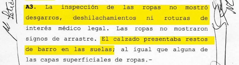Echazú, Maldonado, Otranto, Patricia Bullrich, Héctor Magnetto, Vidal, Gendarmería, Desaparición, Macri, RAM, autopsia, RCP, Reanimación cardiopulmonar