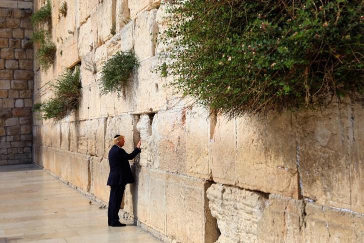 The New York Times, EEUU, Rusia, Vladimir Putin, Israel, Benjamin Netanyahu, Donald Trump, neo Santa Inquisición, Palestina, Bolsonaro, Medio Oriente, Iran, Nisman, Medios de comunicación, Censura 