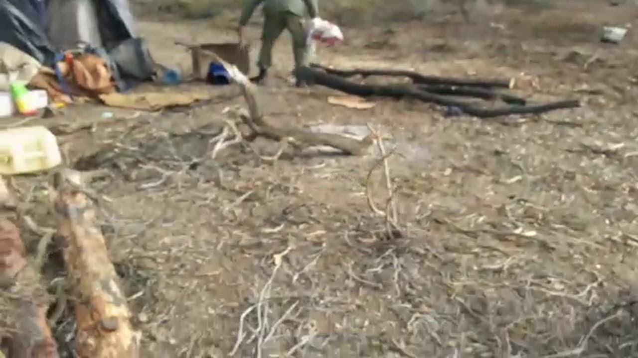 Echazú, Maldonado, Otranto, Patricia Bullrich, Héctor Magnetto, Vidal, Gendarmería, Desaparición, Macri, RAM, autopsia, RCP, Reanimación cardiopulmonar, Policía Federal, Filtración, Pablo Bodie