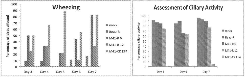 laboratorios del primer mundo, vacunas, OMG, Organismos Geneticamente Modificados, SARS Coronavirus 2, Covid 19, terrorismo biológico, geoestratégicos, doctrina del shock, SARS (Síndrome Respiratorio Agudo Grave), Coronavirus 2, Pirbright Institute, Coronavirus Group, Erica Bickerton, Sarah Keep, y Paul Britton. 