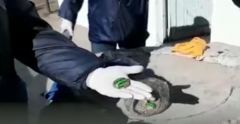 Facundo Castro Astudillo, Santiago Maldonado, Policia Bonaerense, Gendarmeria, Gobierno Nacional, desaparición, Berni, Bullrich, Alberto Fernandez