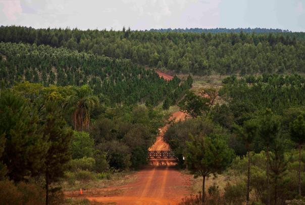 Hugo Sigman SIlvia Gold Insud Chemo