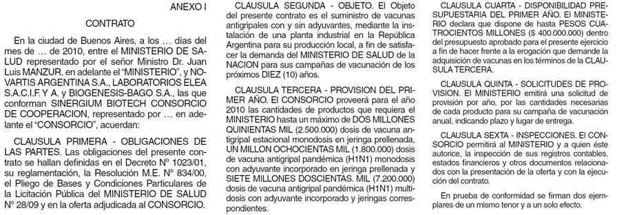 Sigman, Vizzotti, Sinergium Biotech, vacuna H1N1, gripe A