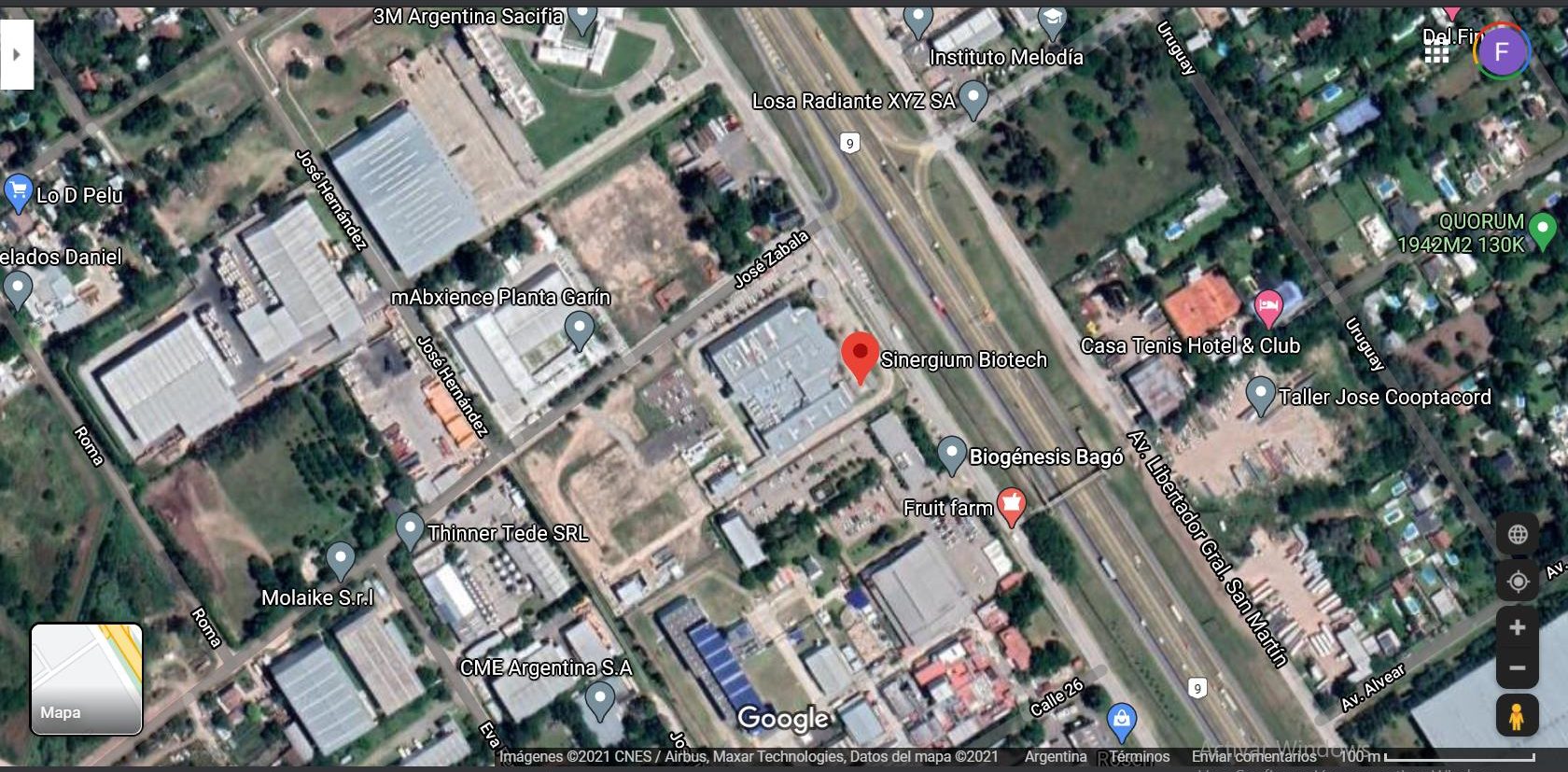 Sigman, Vizzotti, Sinergium Biotech, mABxience, ELEA, vacunas