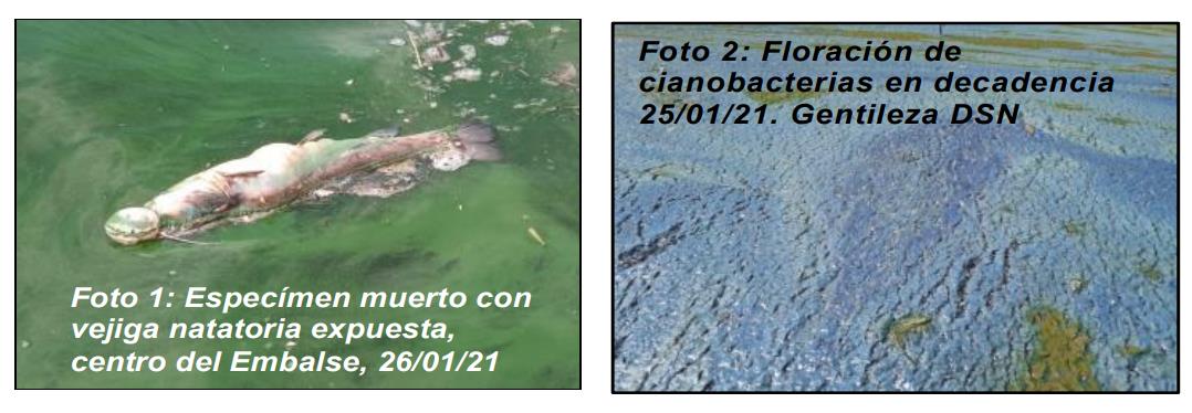 Lago San Roque, contaminación, cordobesismo