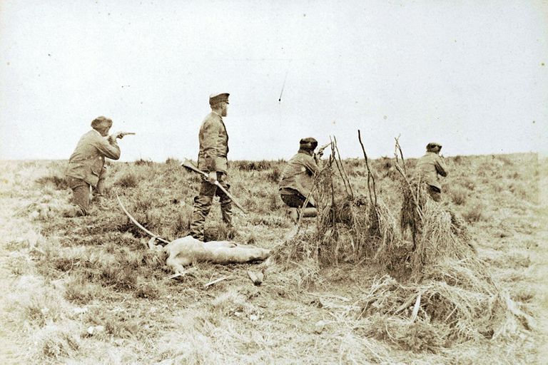 Conflicto Mar Austral, Chile, Argentina, Tratado 1984