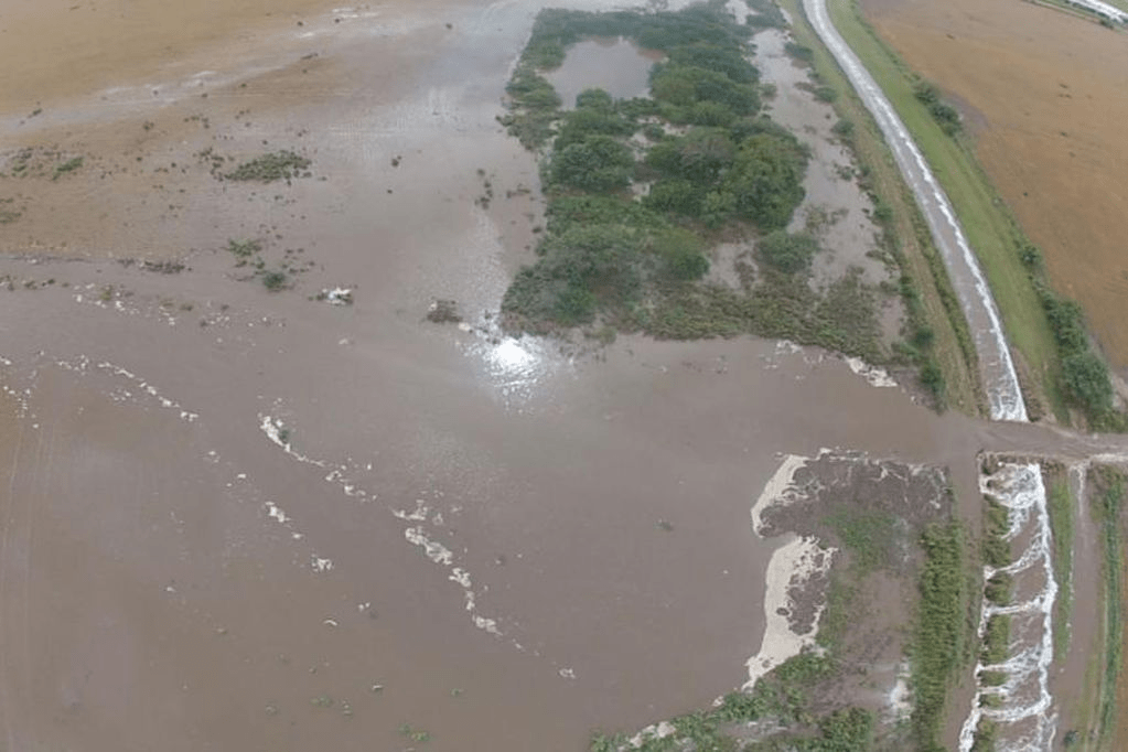 Holding Roggio, contrataciones públicas, corrupción