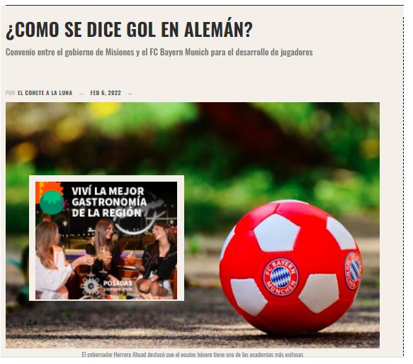 Perro Horacio Verbistky, Cohete a la Luna, periodismo marrón