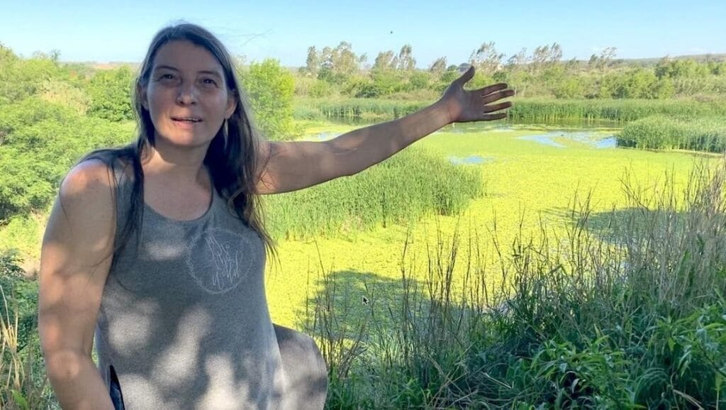 Cordobesismo, ecocidio, desarrollo, territorio, Sigismondi