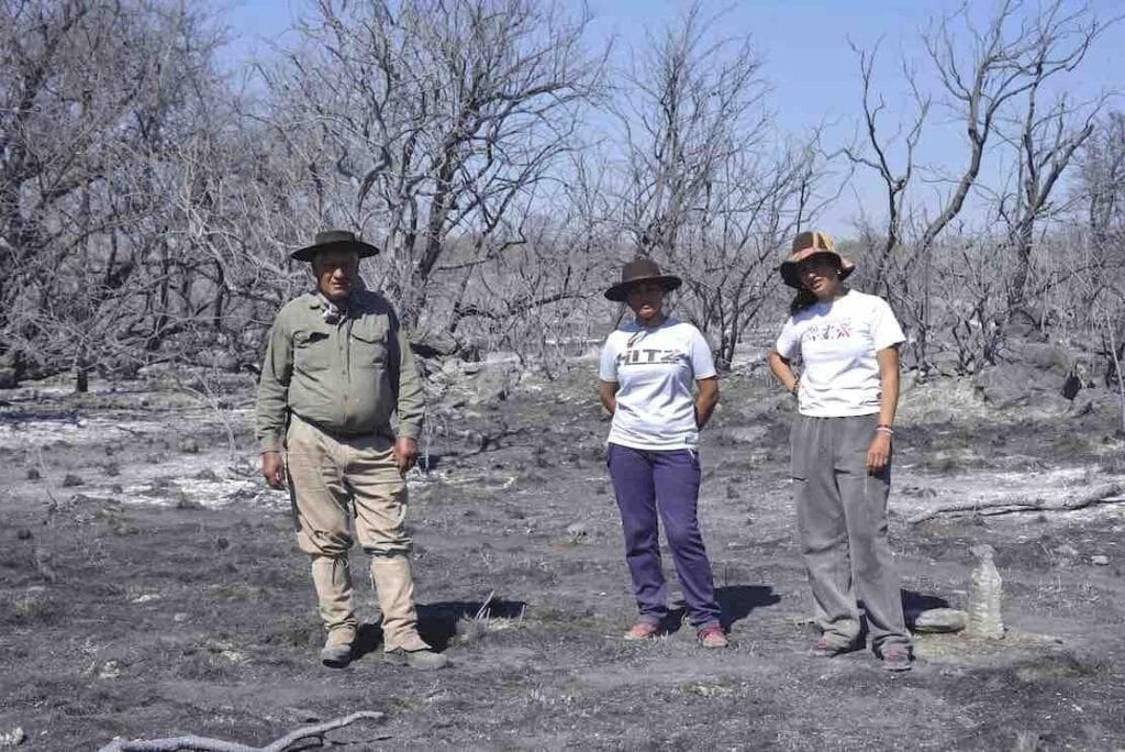 Cordobesismo, ecocidio, desarrollo, territorio, Sigismondi