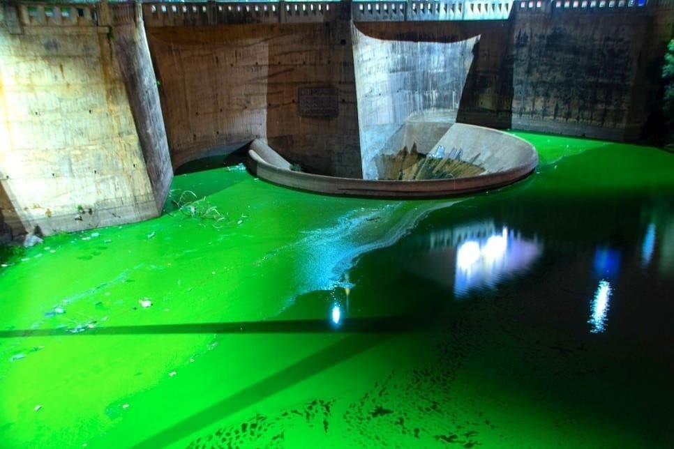 Cordobesismo, ecocidio, desarrollo, territorio, Sigismondi