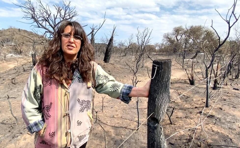 Cordobesismo, ecocidio, desarrollo, territorio, Sigismondi