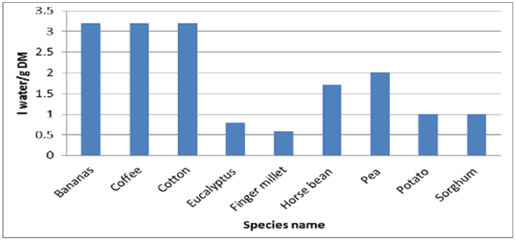 Uruguay, pasteras, ecucaliptos, sequía, Botnia, UPM, Ence, déficit hídrico