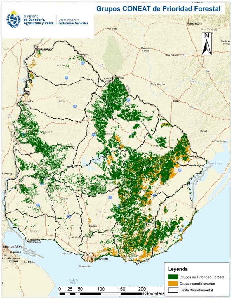 Uruguay, pasteras, ecucaliptos, sequía, Botnia, UPM, Ence, déficit hídrico