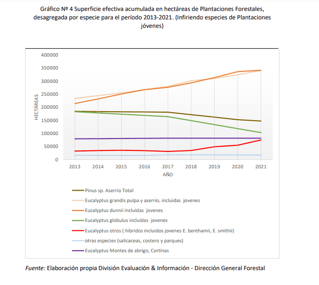 Uruguay, pasteras, ecucaliptos, sequía, Botnia, UPM, Ence, déficit hídrico