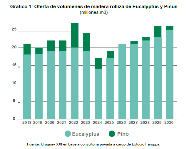 Uruguay, pasteras, ecucaliptos, sequía, Botnia, UPM, Ence, déficit hídrico