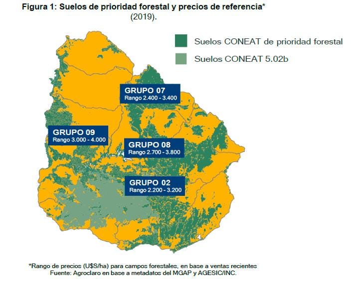 Uruguay, pasteras, ecucaliptos, sequía, Botnia, UPM, Ence, déficit hídrico