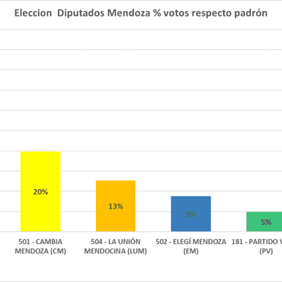 Elecciones Mendoza gano NO VOTO caida representación