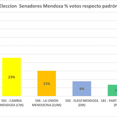 Elecciones Mendoza gano NO VOTO caida representación