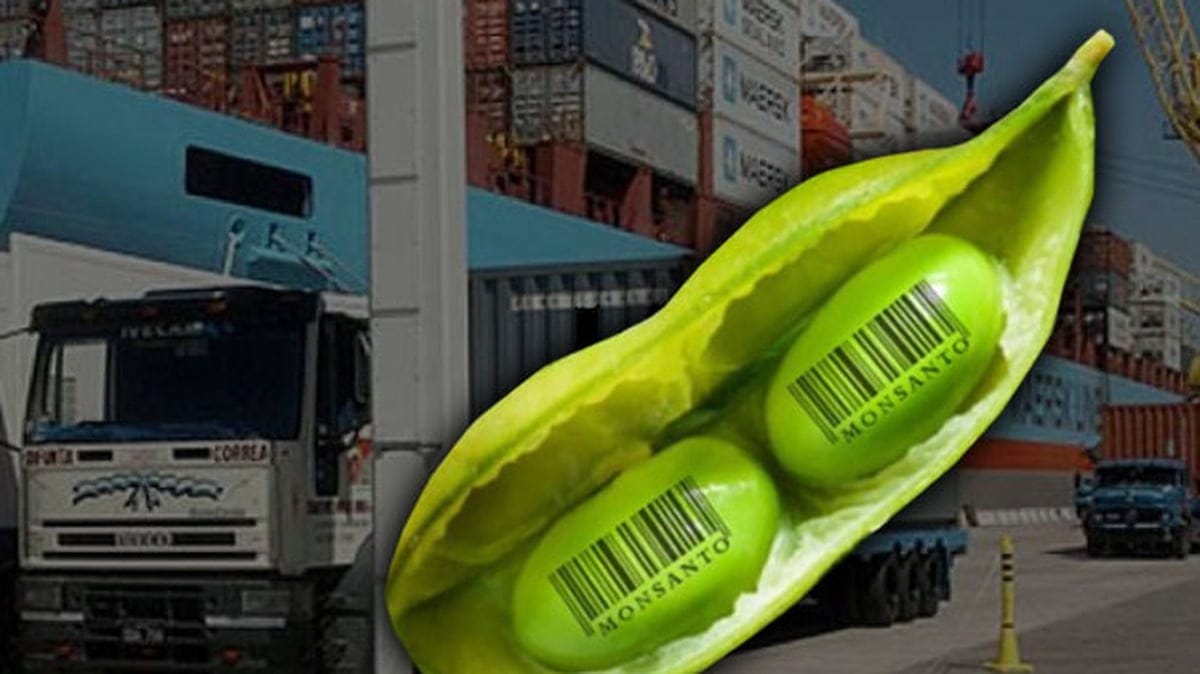 tremendos impactos ambientales, Mega DNU, Ley Omnibus, Milei, con nombre y apellido