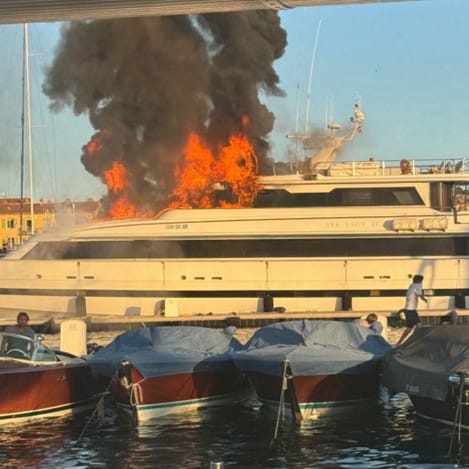 Manzano coronado ¿el árbol? No el ministro del Interior menemista que robaba para la corona