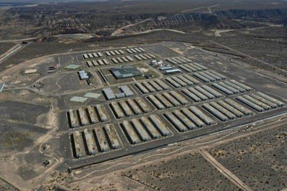 Manzano coronado ¿el árbol? No el ministro del Interior menemista que robaba para la corona