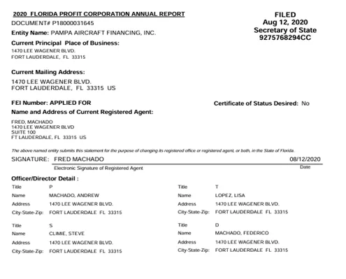 Reporte Anual de Ganancias 2020